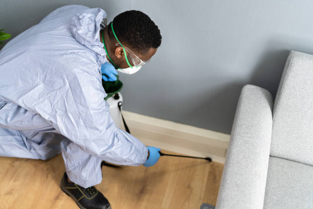 Best Residential Pest Control  in Pasadena Hills, FL